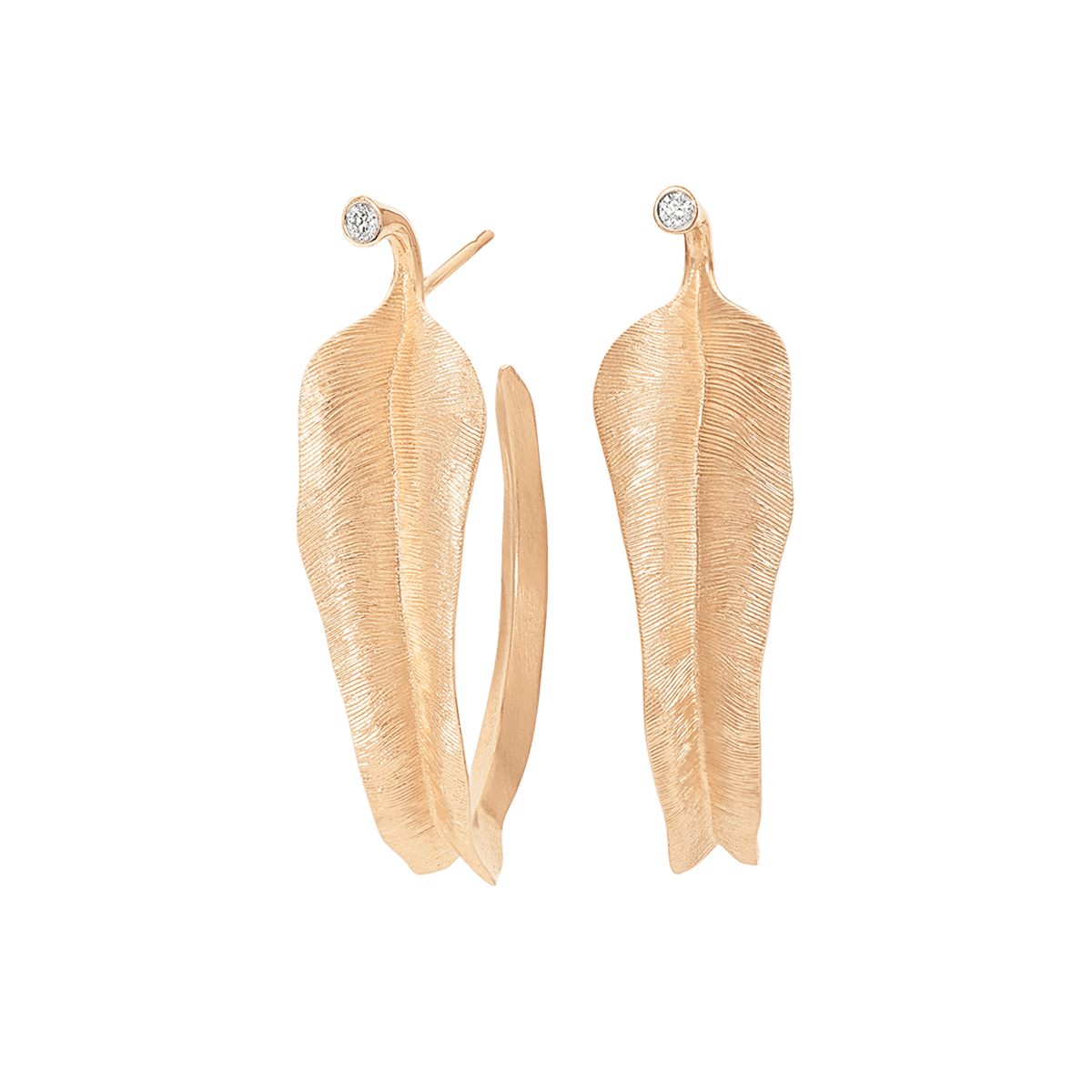 Leaves Earrings