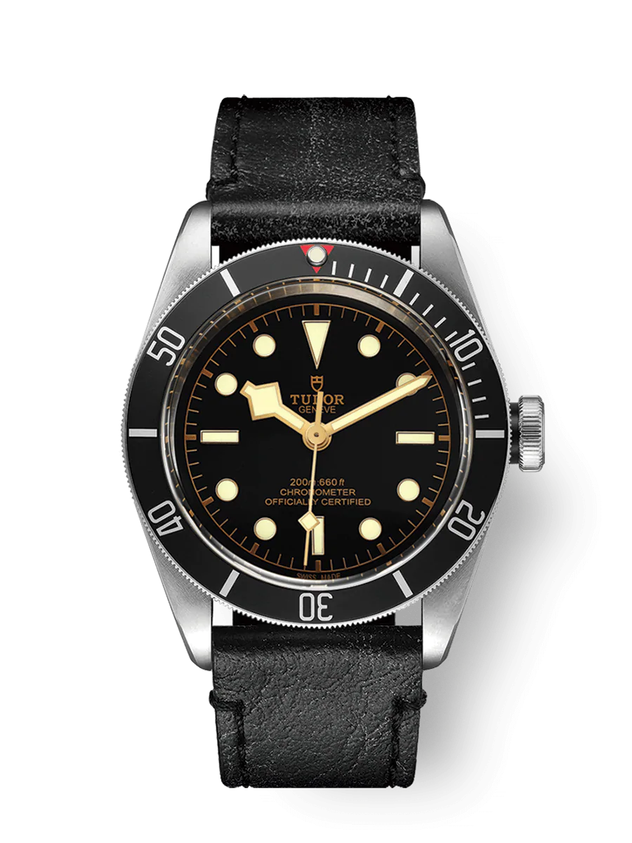 Tudor Black Bay